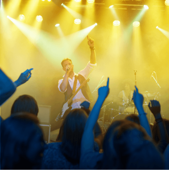Concert crowd